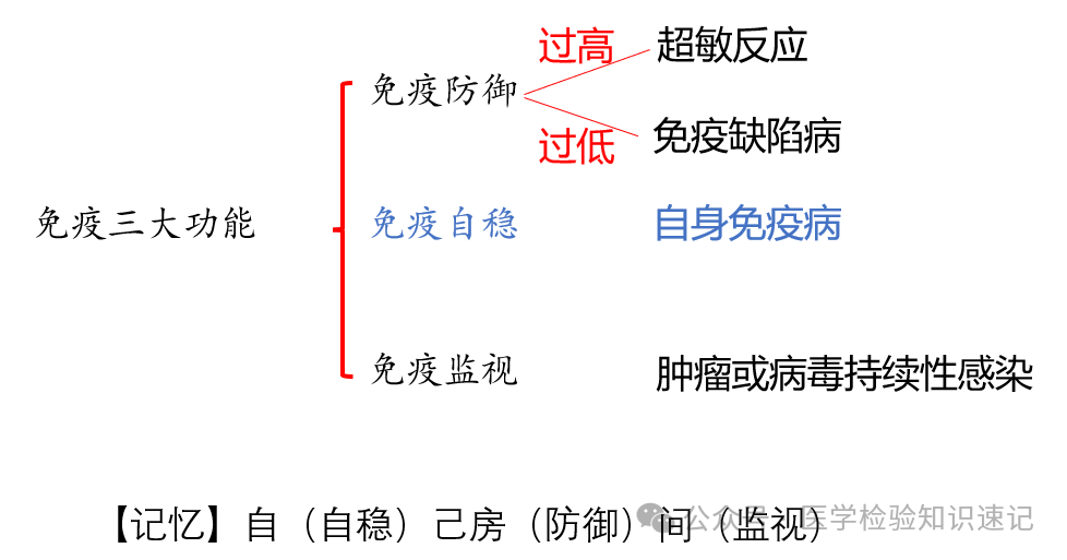 速记超敏反应---看完必得分 - 知乎