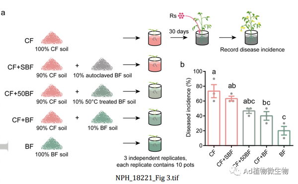 New Phytologist | 研究揭示施用生物有机肥诱导根际微生物群落抑制病原菌的机制! - 知乎