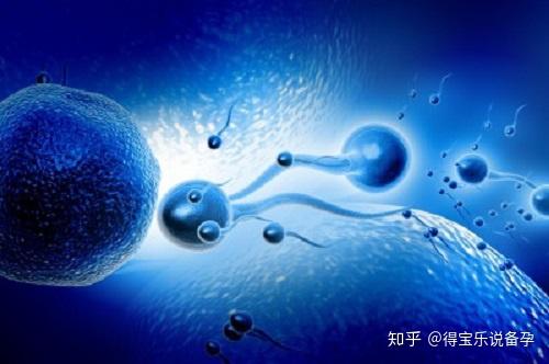 什么样的精子不液化 v2-66719efb56b55a759186d6ccf9905627_r.jpg