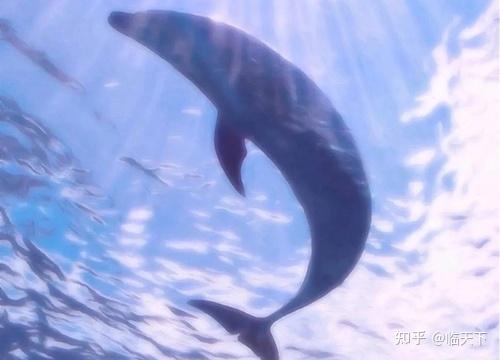 母亲节搞笑文案(愉快 搞笑幽默文案)