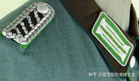 二战德国警察警衔标志上