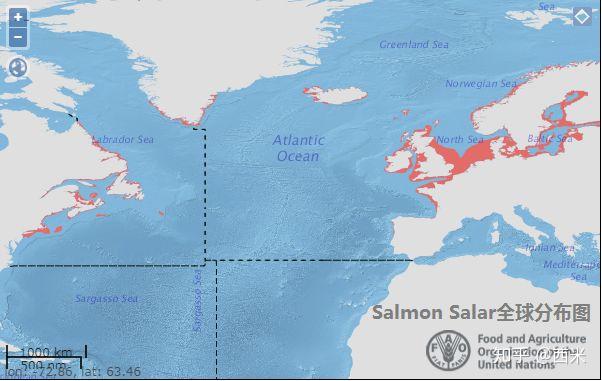 大西洋鲑鱼洄游路线图片