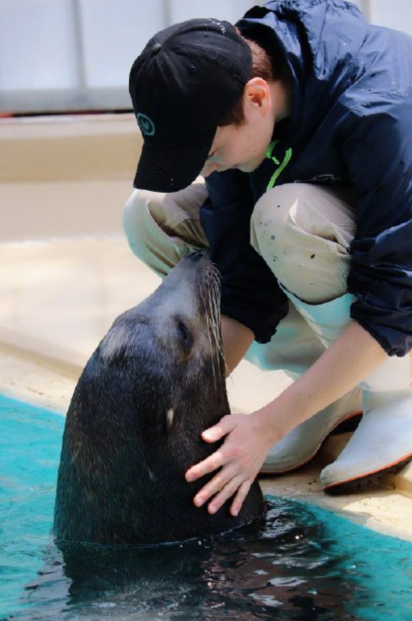 停業後的動物園,一些奇怪詭異的事發生了