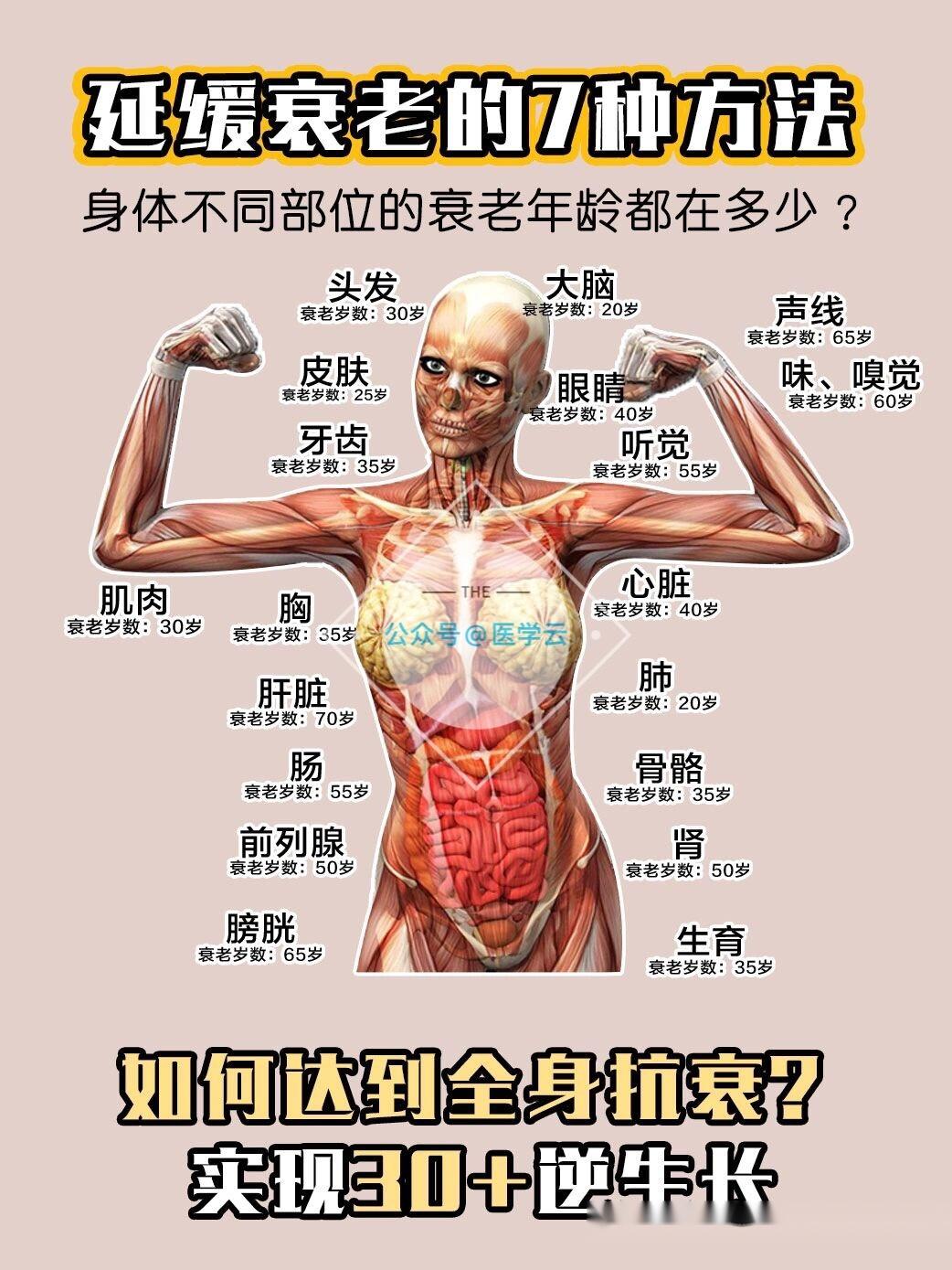 身体的器官不同衰老阶段如何保养大脑:衰老岁数:1515岁保养大脑