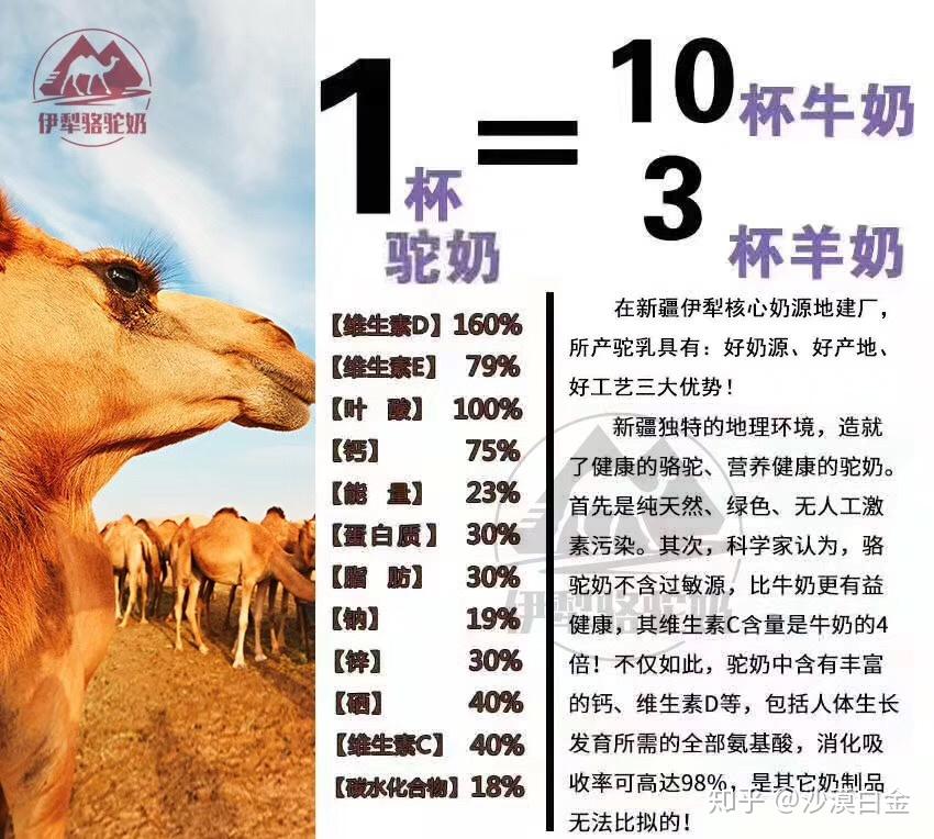 驼奶和牛奶的差异你知道吗 - 知乎