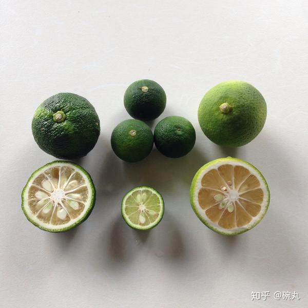 日本柚子 | 它，它，它，居然不是柚子，而是橙？！ - 知乎