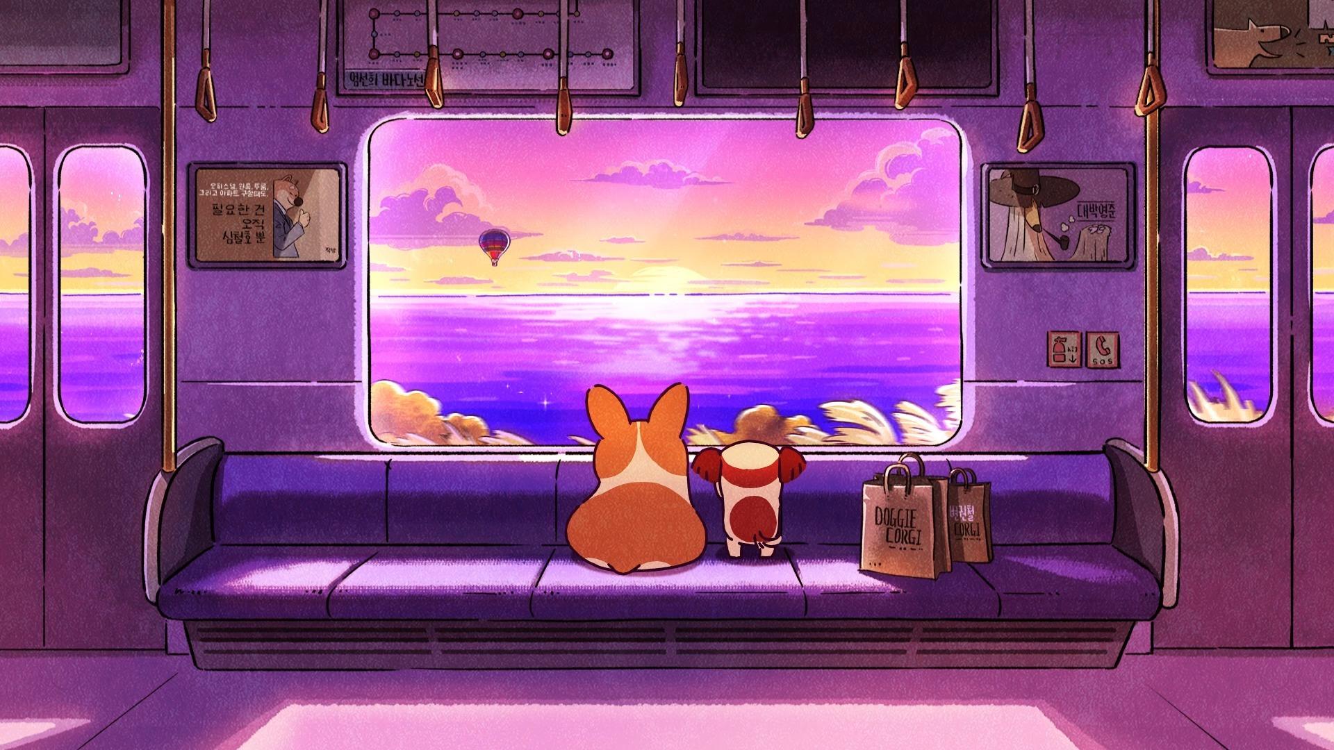 治愈系小短腿柯基ep08