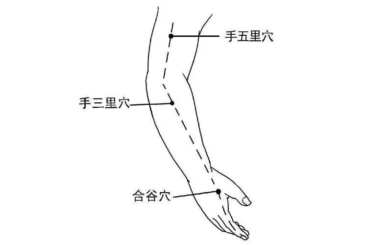 秋天到鼻炎闹人体解锁这几个穴位有奇效