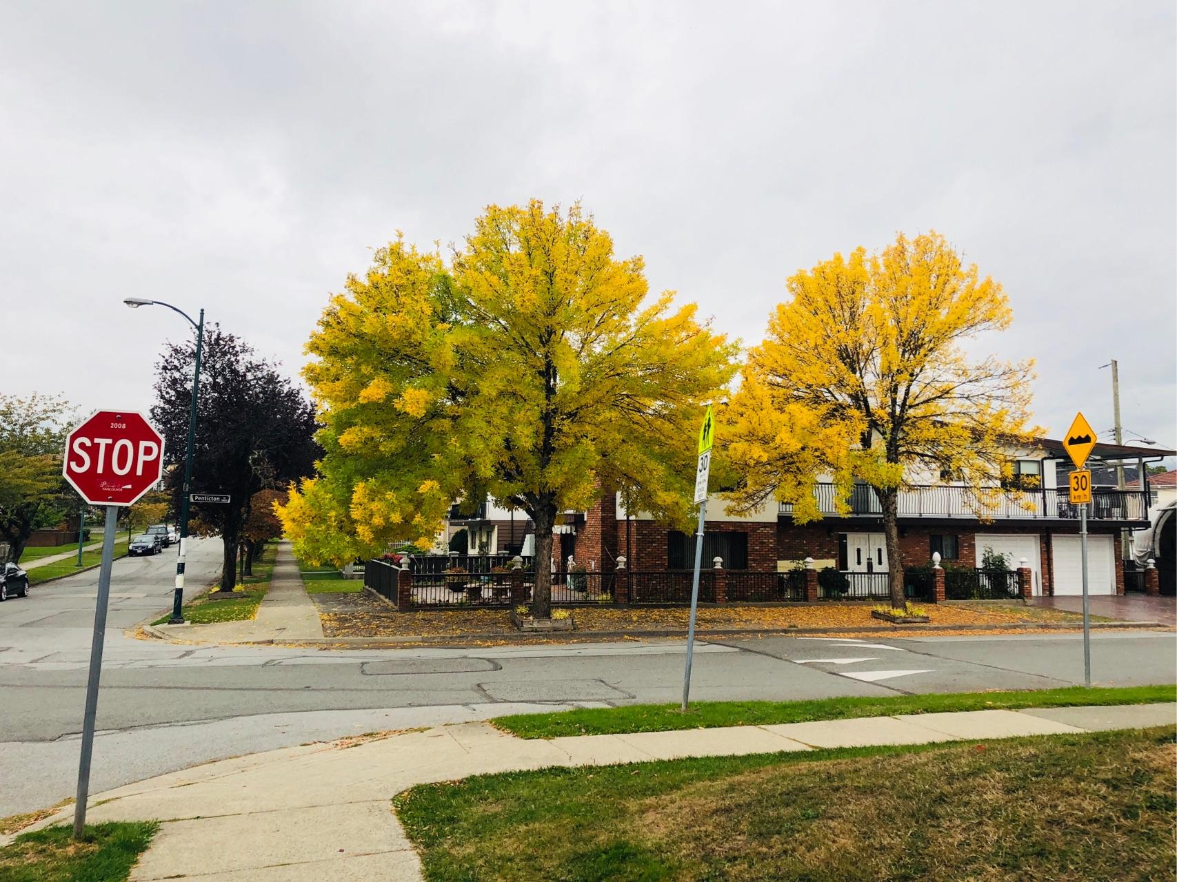 加拿大高中的真实生活是怎样的? - 知乎