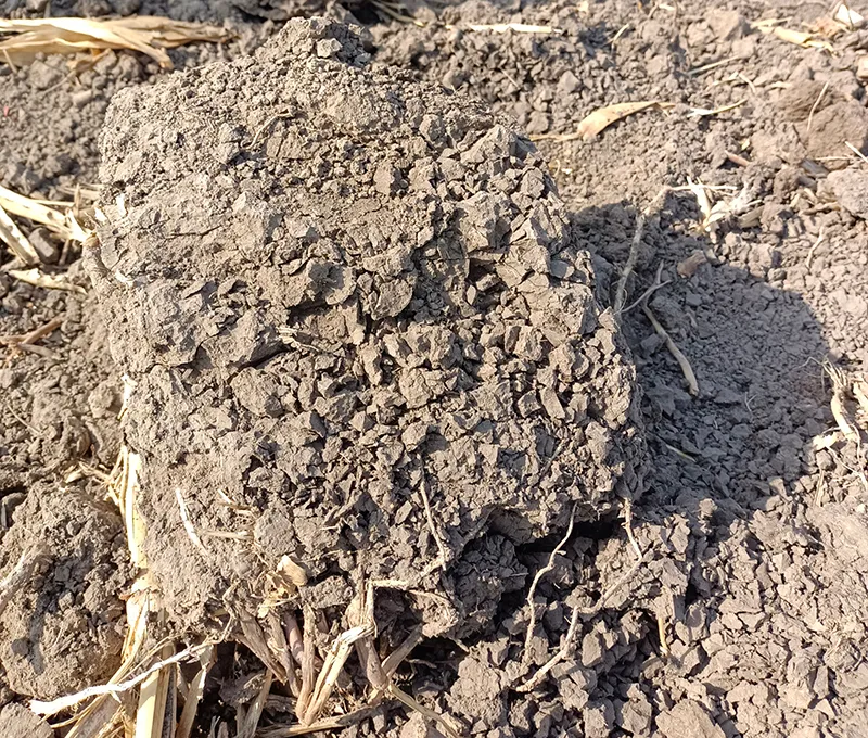 黑土地保护与利用新技术座谈会专家组今日展开实地考察调研