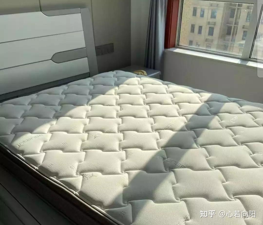 2022年中国十大品牌床垫（席乐顿床垫排名前三）_斜杠青年工作室