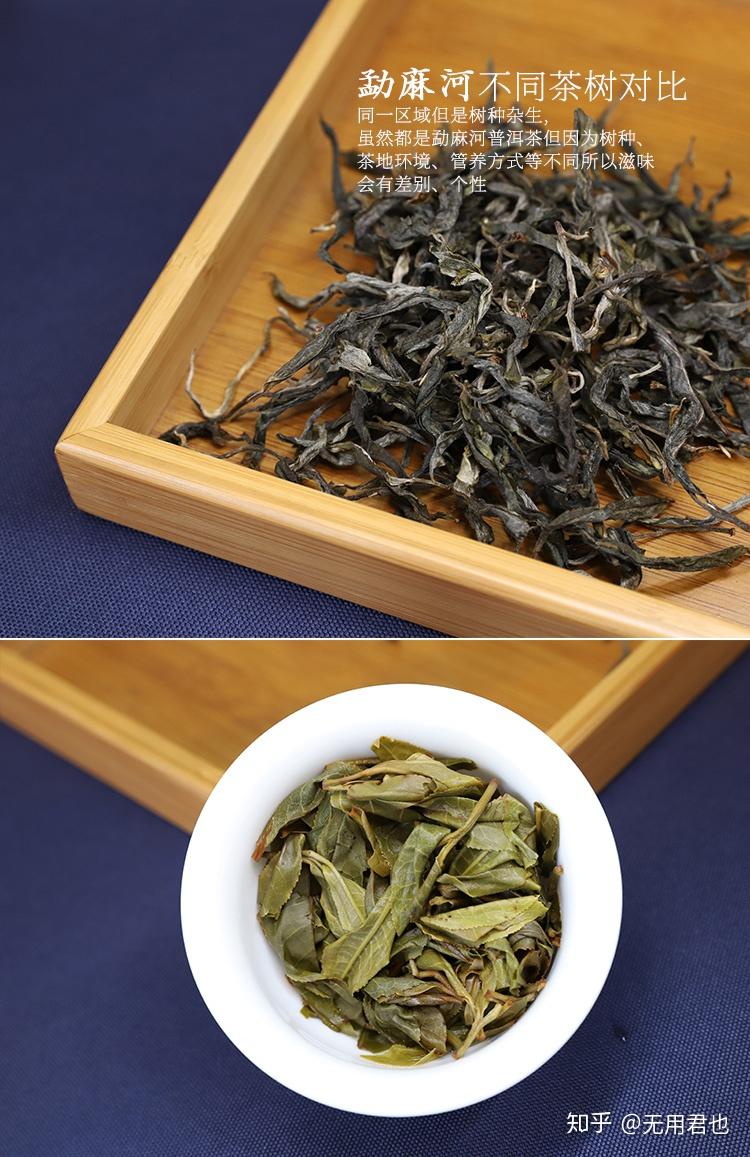 第一次接触勐麻河这里的普洱茶有什么特点