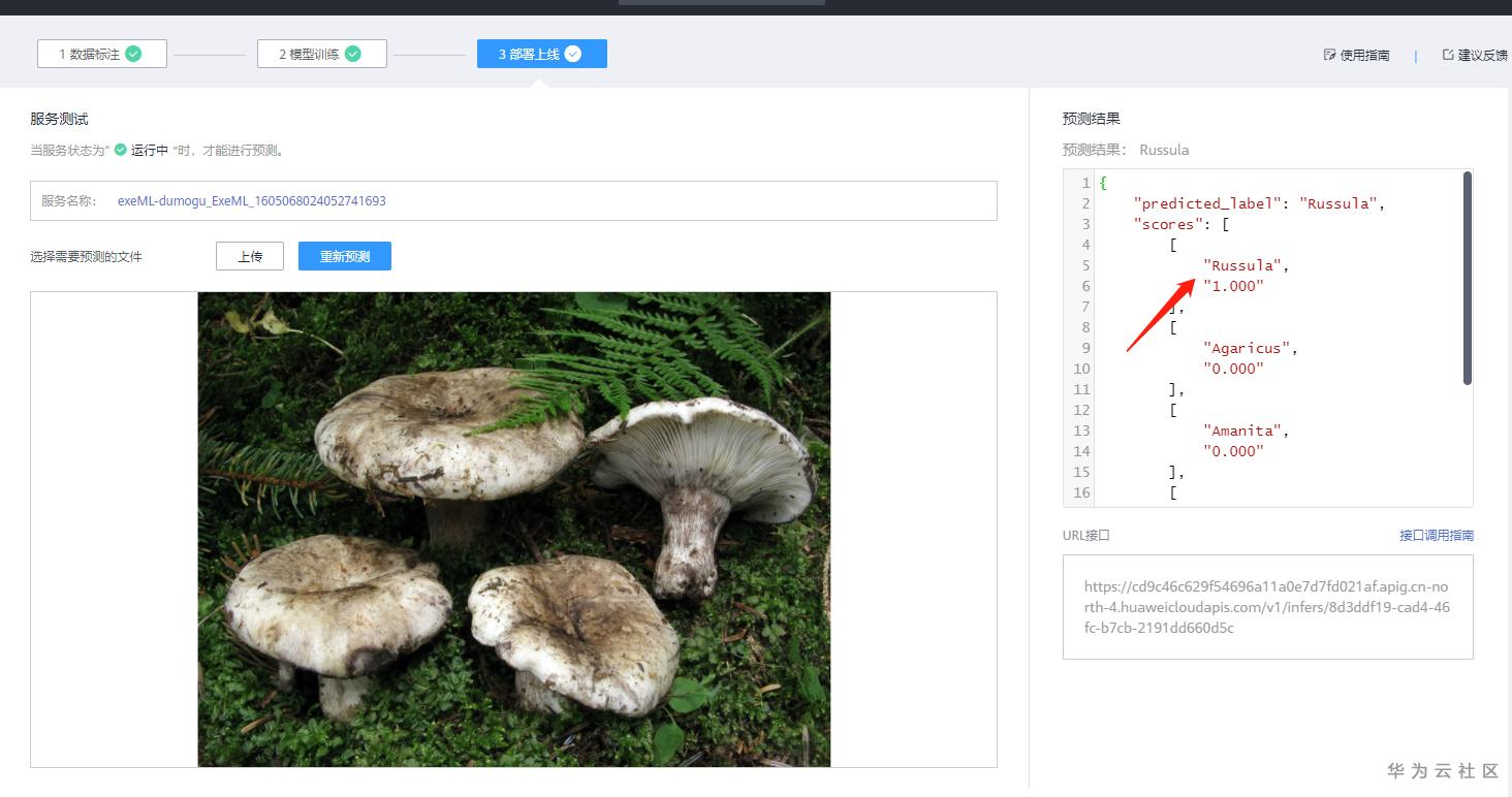 手把手教你使用ModelArts的自动学习识别毒蘑菇分类 手把手教你使用ModelArts的自动学习识别毒蘑菇分类