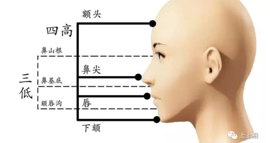 这种结构就是我们常说的"瓦刀脸"就是面部中轴线上的各部位的高低结构