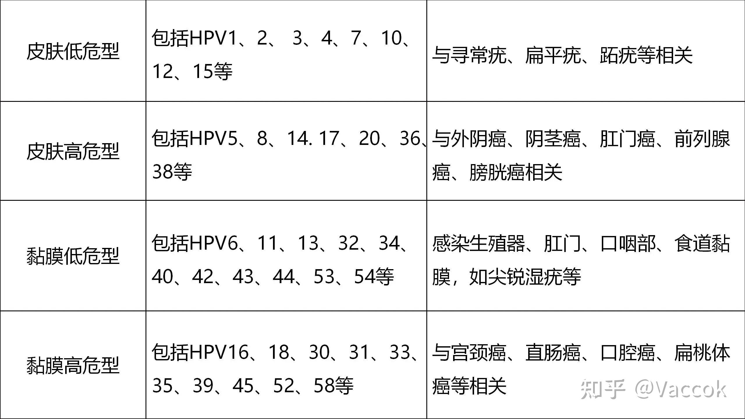 国际hpv知晓日