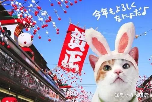 日本的猫文化 日本人为何痴迷爱猫 带你走进神秘的日本猫世界 知乎