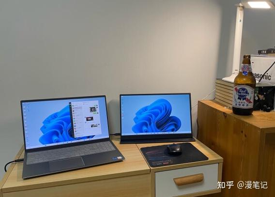 电脑显示器副屏/双屏/便携屏哪个品牌好?(哪款性价比高以及如何选购)