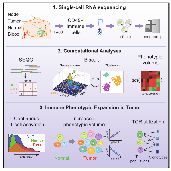 文献解读 | 10X Genomics单细胞转录组测序在构建细胞图谱中的应用 - 知乎