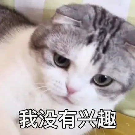 适合日常聊天的搞怪沙雕表情包来啦