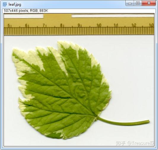 ImageJ实用技巧——重新认识你的图像(基本功能篇) ImageJ实用技巧——重新认识你的图像(基本功能篇)