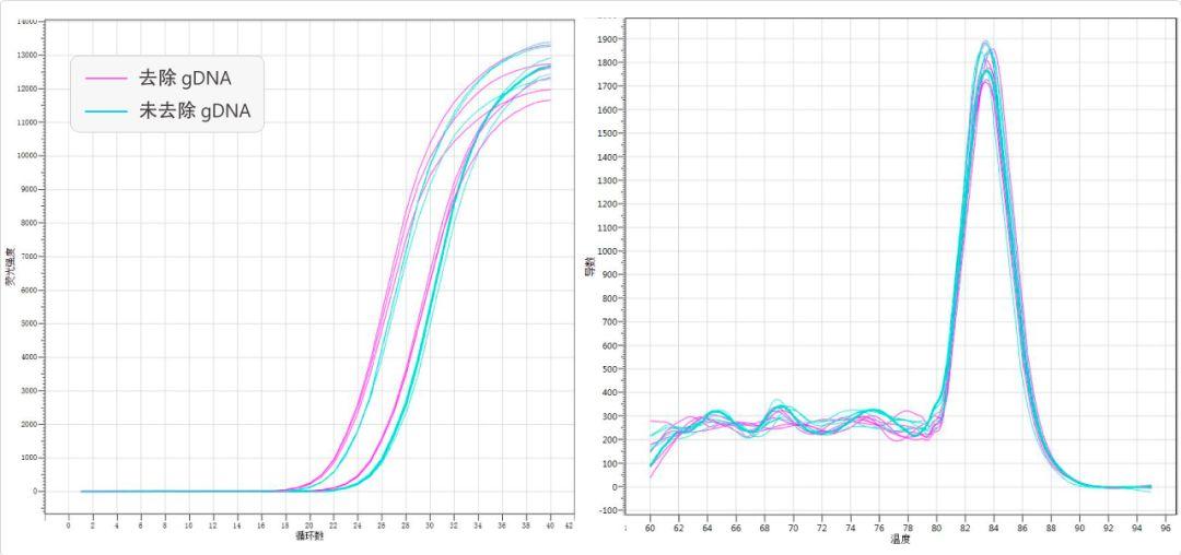 RT Master Mix for qPCR—高效反转录试剂 知乎