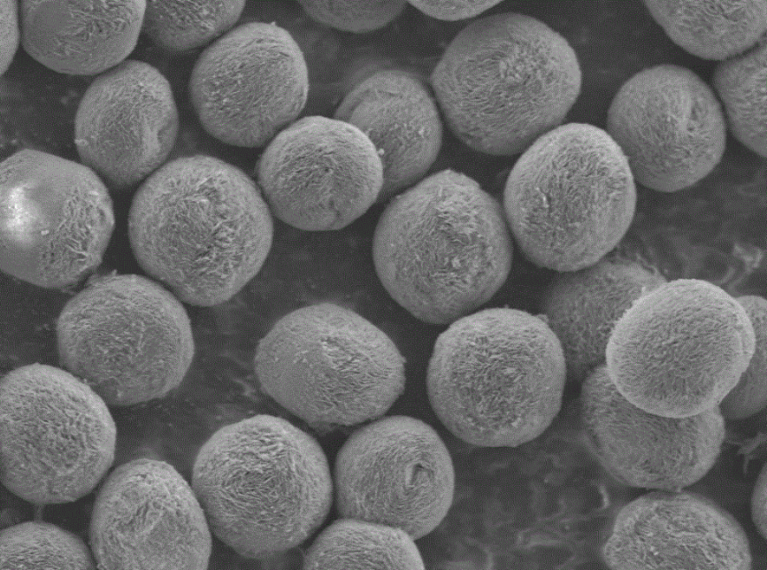 底泥,大气,油品,土壤,水中,塑料,环保,颗粒物,油脂等.