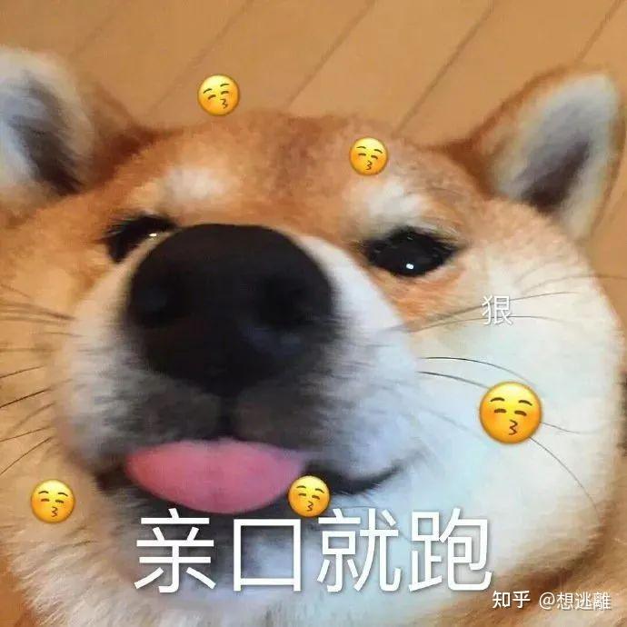 奇怪的搞笑必备表情包又增加了~ - 知乎