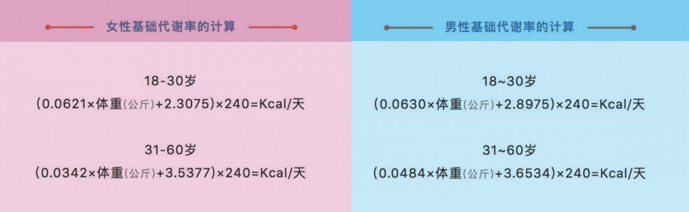 如何計算自己的基礎代謝率?