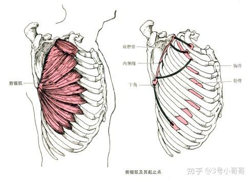 v2-67a75efac180e366e9556c7203ed680b_r.jpg