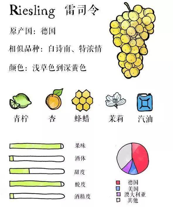 德国“国宝级”品种雷司令,今年587岁了 !| 富隆酒业 - 知乎