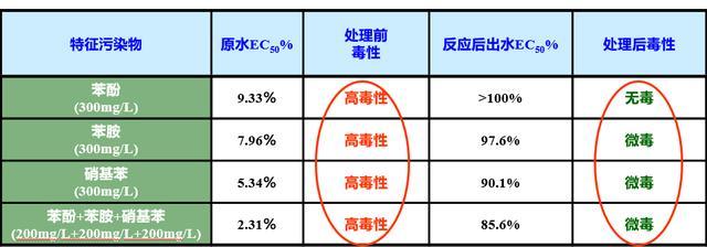 硝基苯,苯胺,石油类,硫化物特征物,致色物质(色度)去除显著,生物毒性