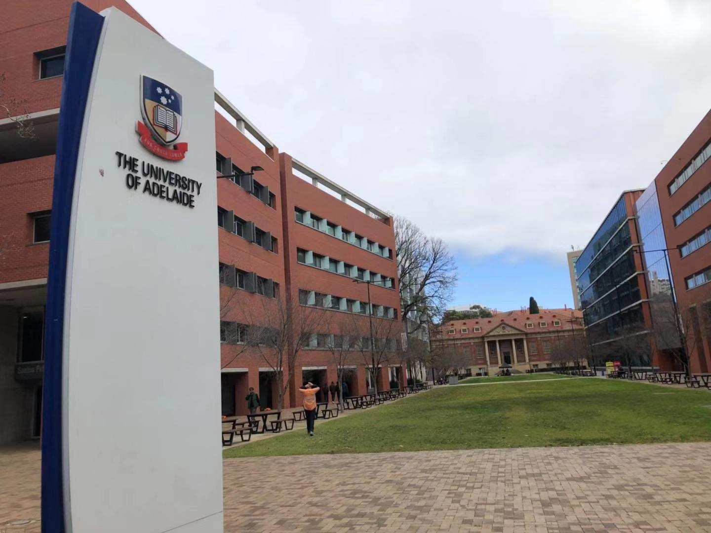 好消息阿德莱德大学新开ai课程录取要求你达到了吗
