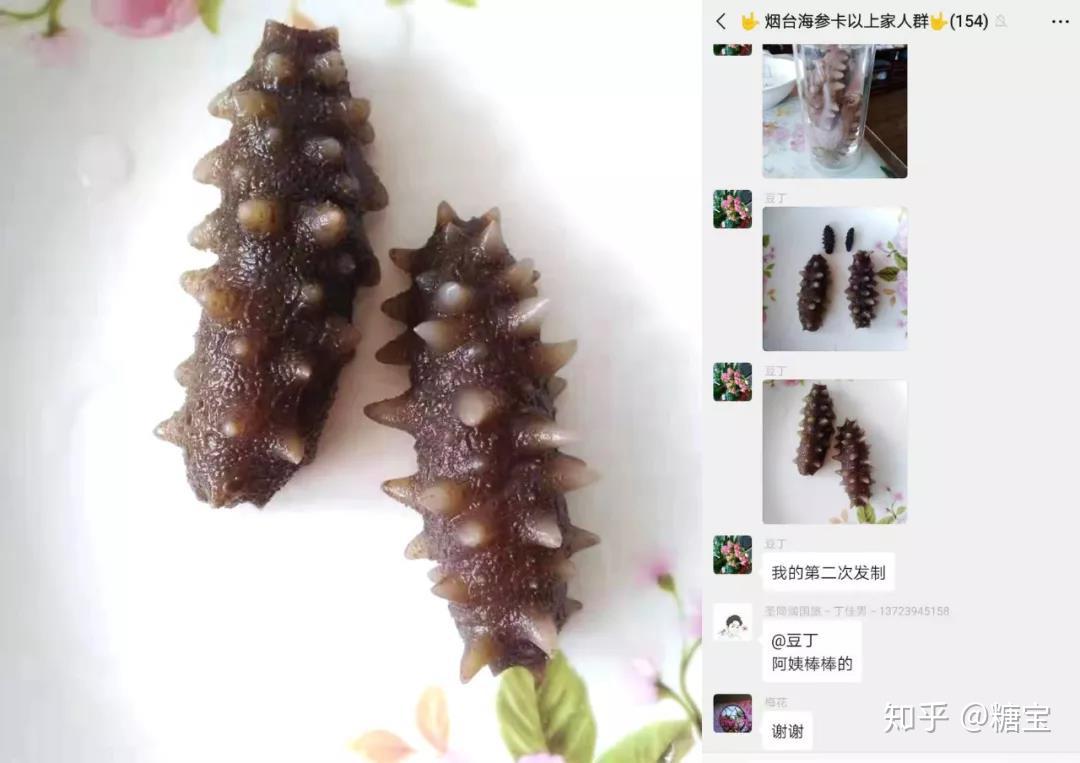 圣同润来自北纬39优质海域的圣同润牌群岛海参