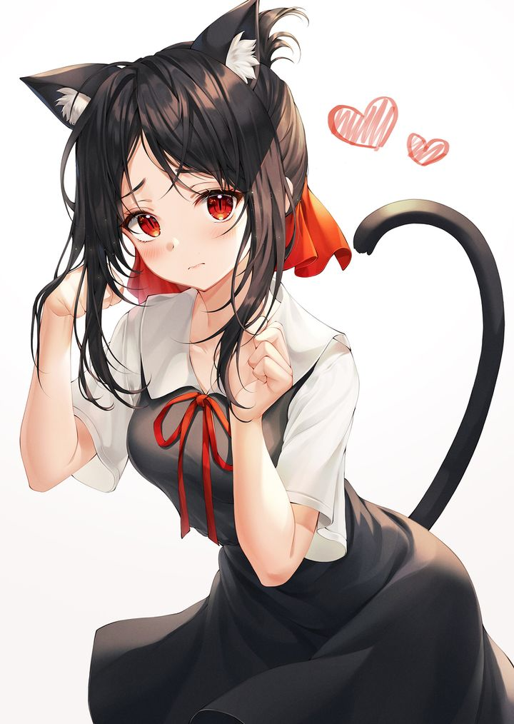 为什么猫娘和兔娘是常见的二次元萌属性,而很少有犬娘? - 知乎