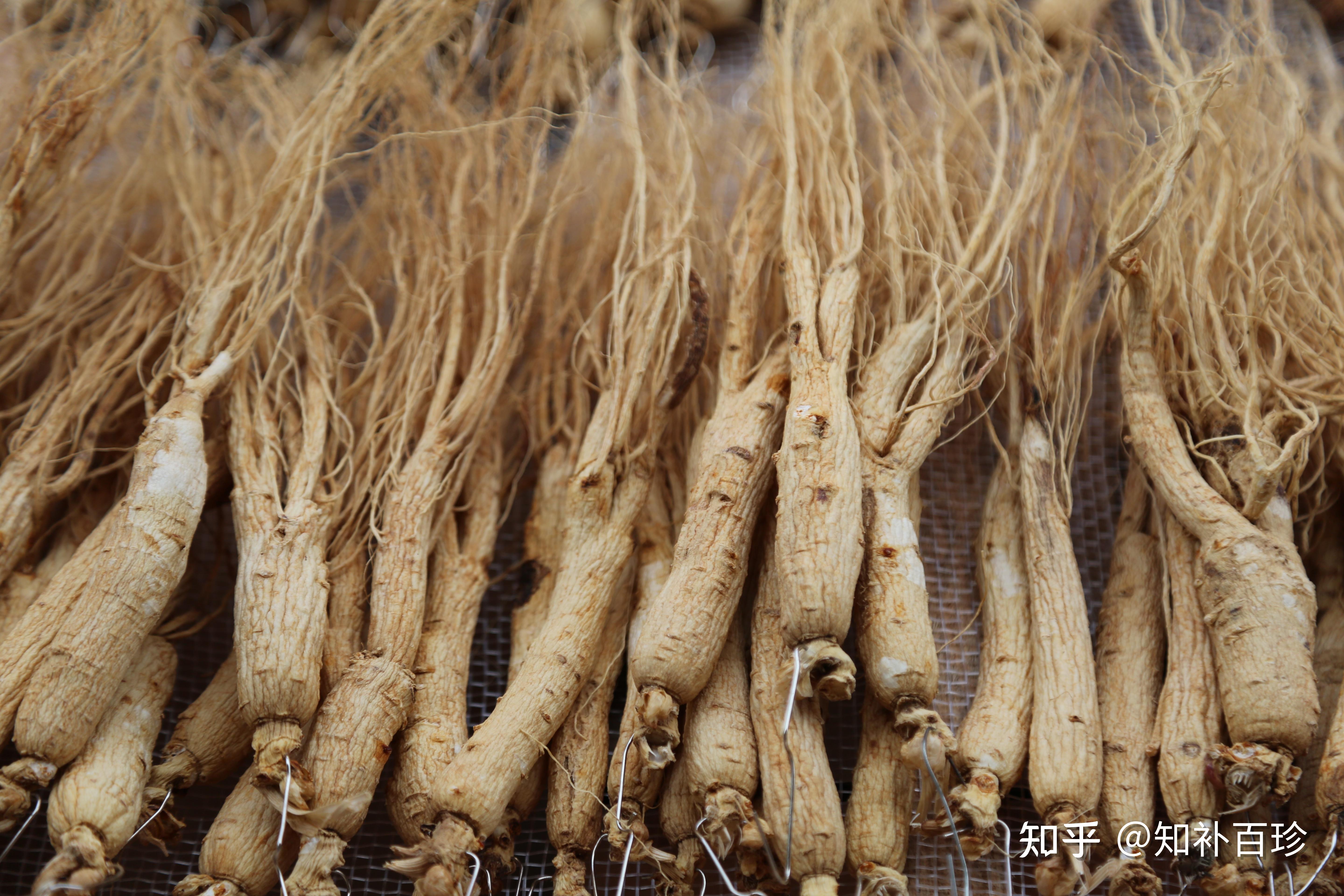 生晒参如何更好的保存