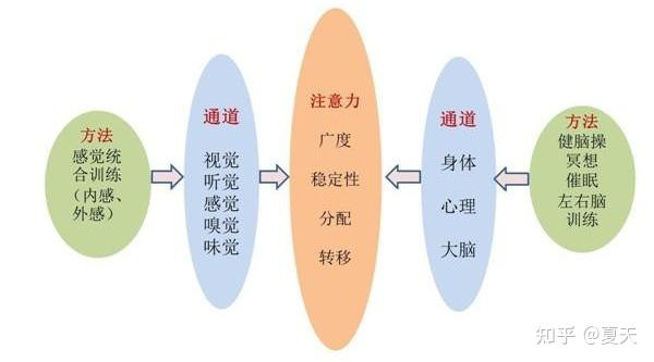 浅谈专注力 - 知乎