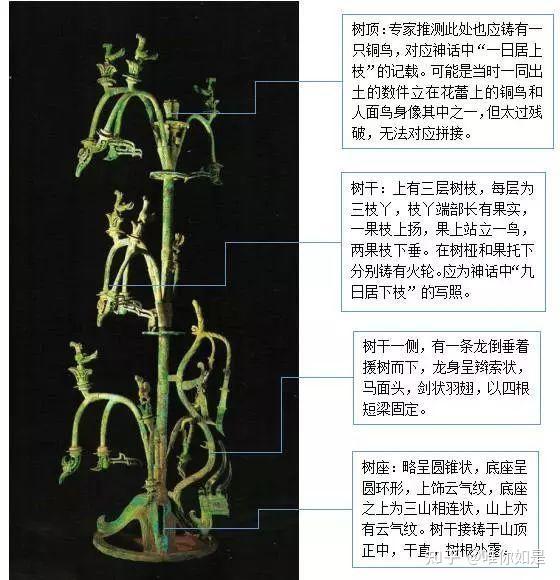 【九】扶桑与建木 - 知乎
