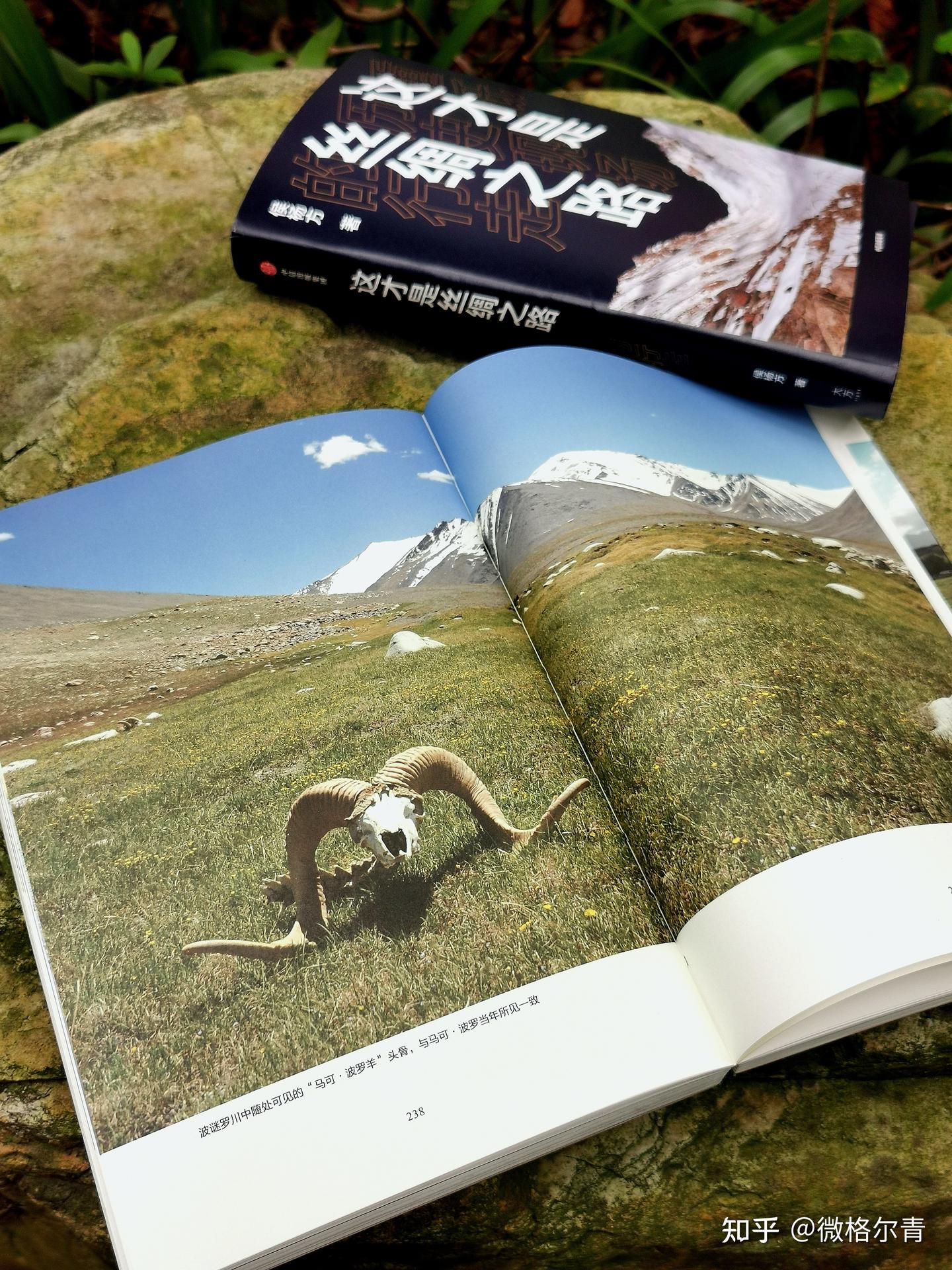 关于丝绸之路的前世今生：重走真实的丝绸之路 - 知乎