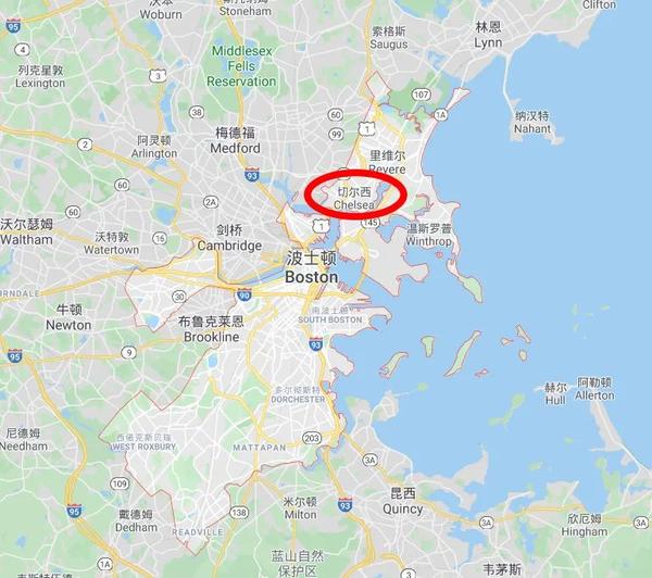 美国4万人小城街头随机测200人三分之一有抗体