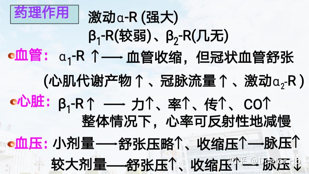 第六章 腎上腺素受體激動藥