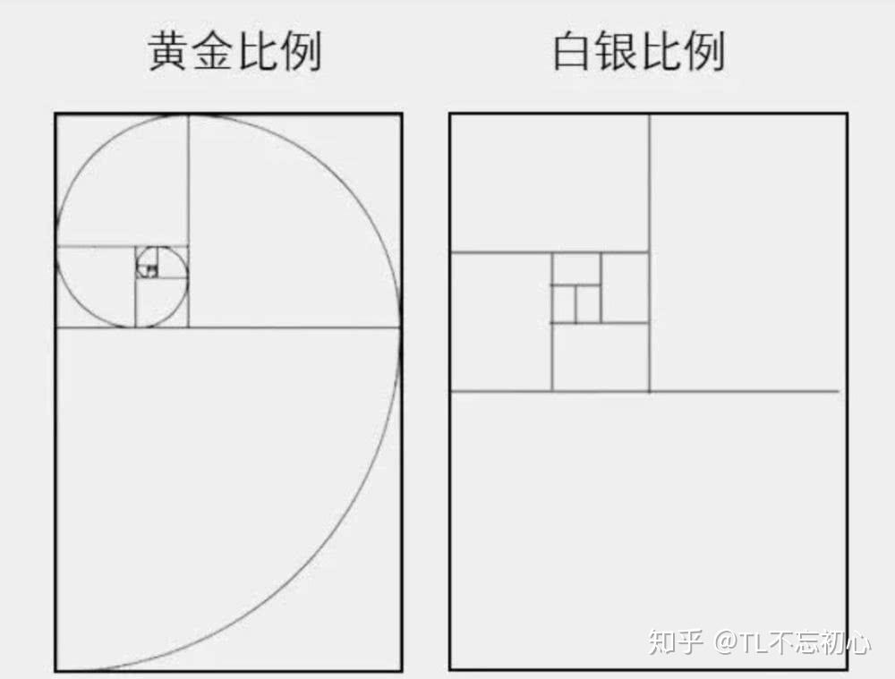 女星360度无死角的秘密,原来是白银比例"