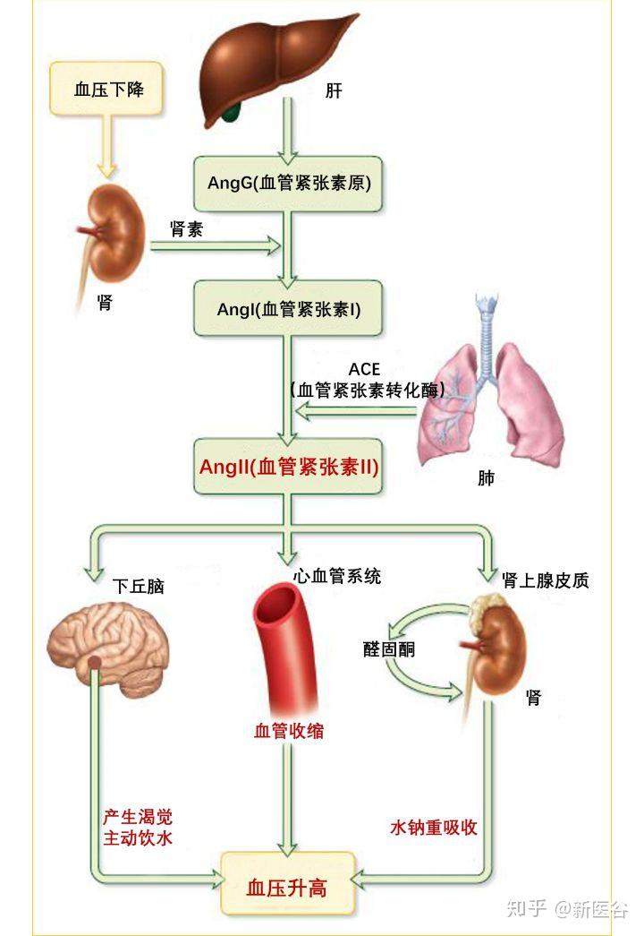 再见到raas我竟以为是品牌名