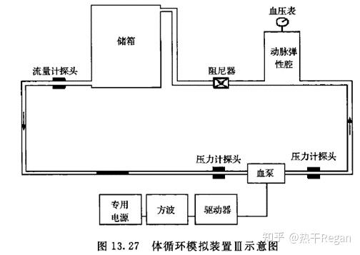 [心血管的系统总结] s3e6 心血管系统物理模型