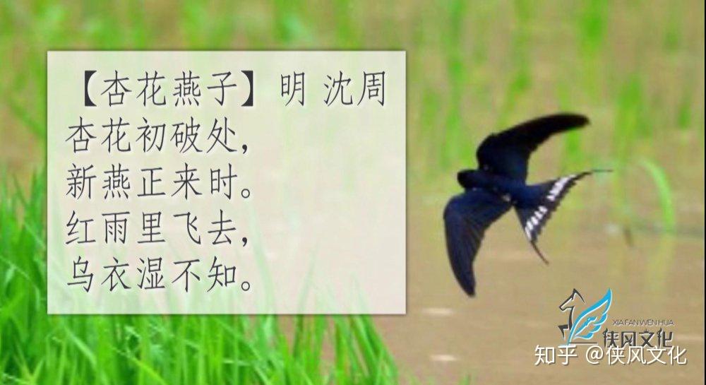 【春燕】明 顾璘绿树花飞半作泥,江南新燕已来齐.
