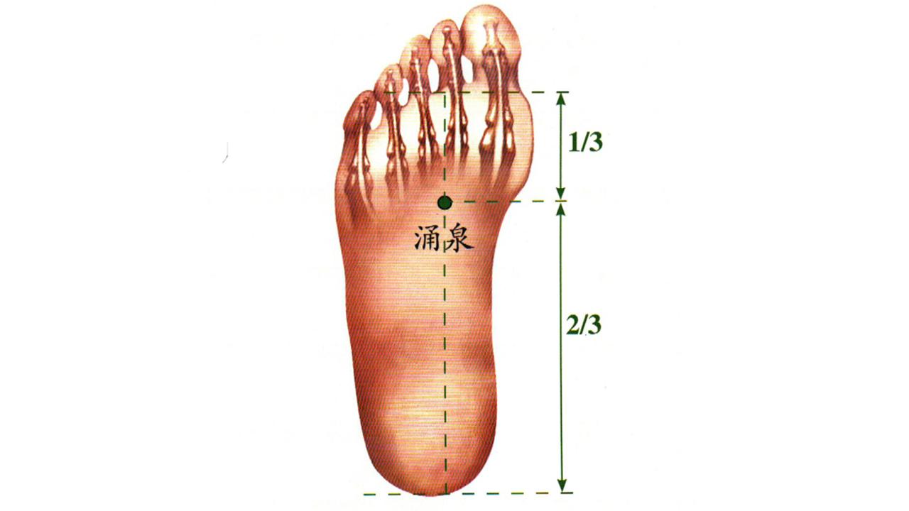 健康哥教你怎么体质养生？让你拥有平和体质 - 知乎