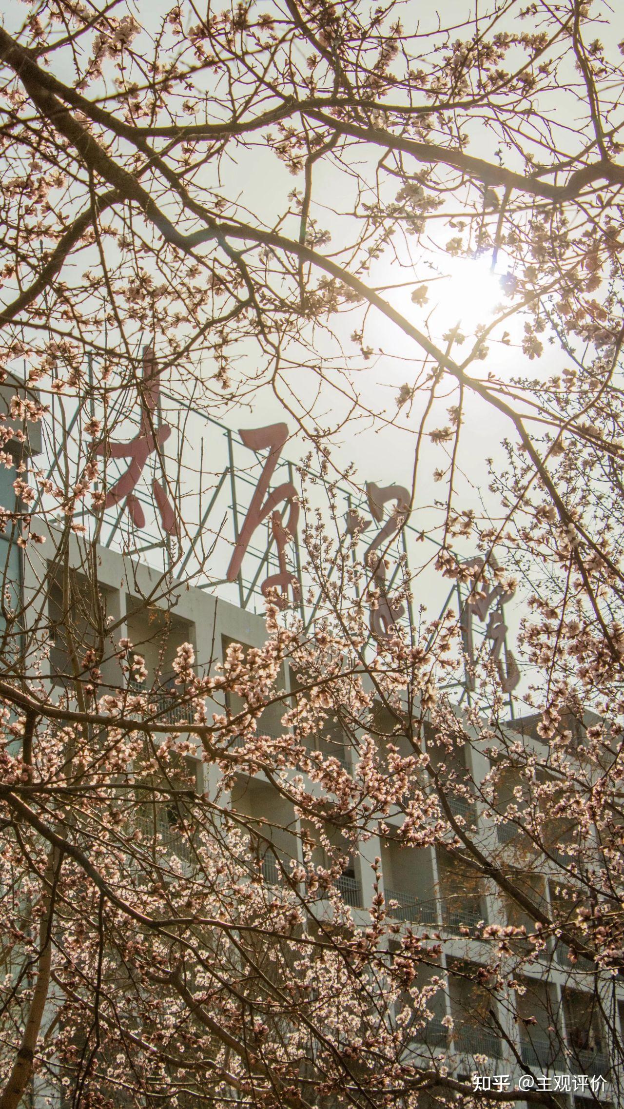 太原学院汾东校区环境怎么样