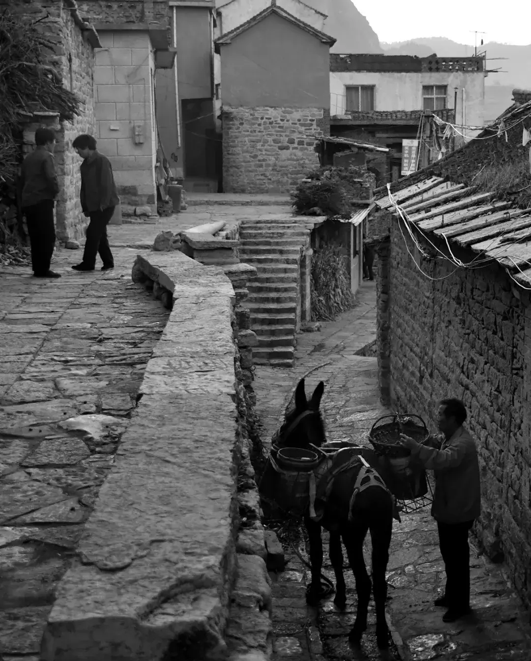 王金庄拍摄游记之一 【驴背上的悠悠岁月】-中关村在线摄影论坛