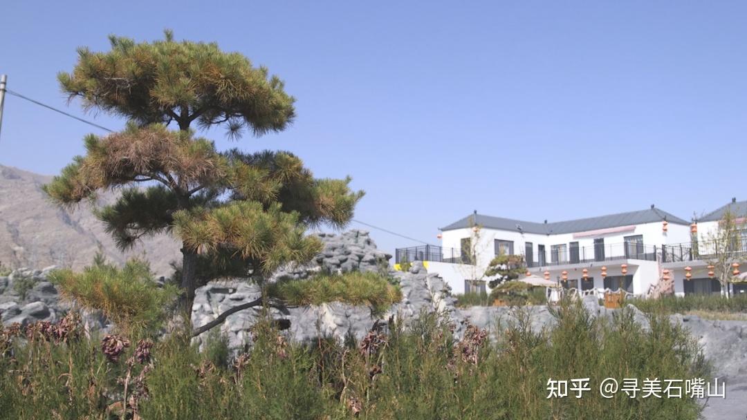 宁夏旅游「礼遇大武口」十佳旅游精品住宿推荐——龙泉山庄民宿的7种