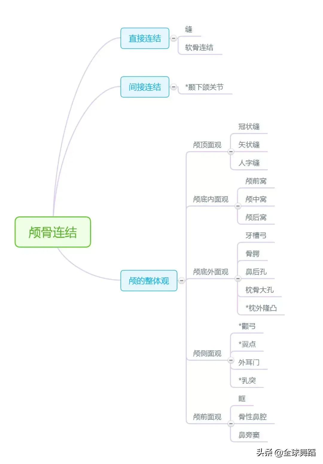 运动解剖学思维导图