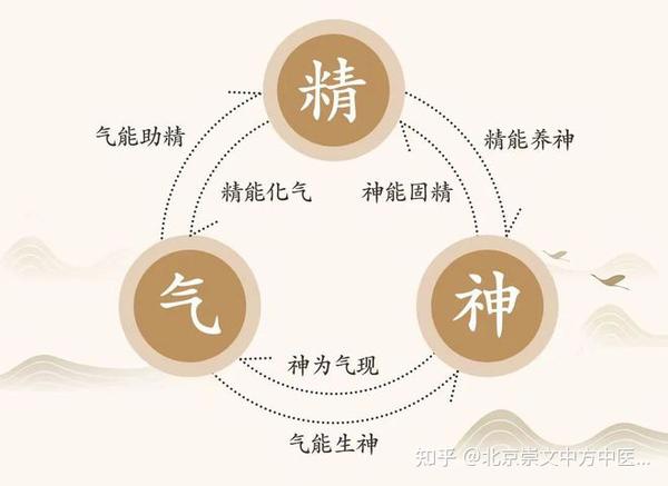 精准模型推演每场比赛的可能结果与关键影响因素